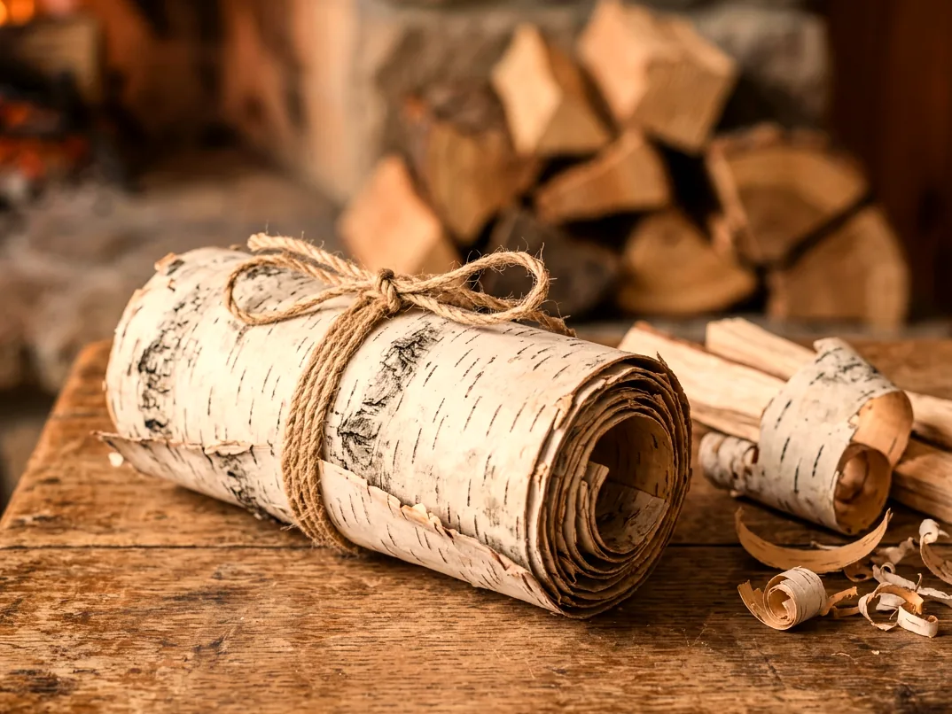 Береста для растопки 2 кг — фото 3
